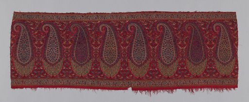Pallu (Shawl Border) Fragment