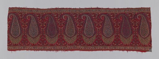 Shawl Border (Pallu)