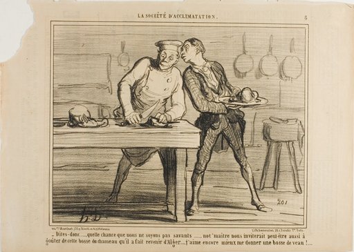 “- I am glad that we are not scientists, otherwise Monsieur would also invite us to taste this camel hump he ordered from Algeria… I'd rather enjoy a meal of veal hump!,” plate 8 from La Sopciété D'acclimatation