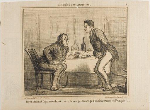 They succeeded in acclimatizing the Indian potato to the French climate, but it is still a problem to acclimatize the French to the Indian potato!, plate 1 from La Société D'acclimatation