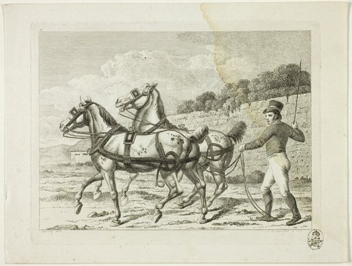 Riding School and Horses