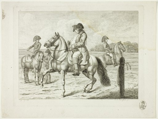 Riding School and Horses