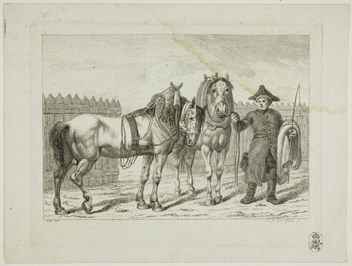 Riding School and Horses
