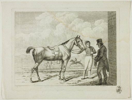 Riding School and Horses