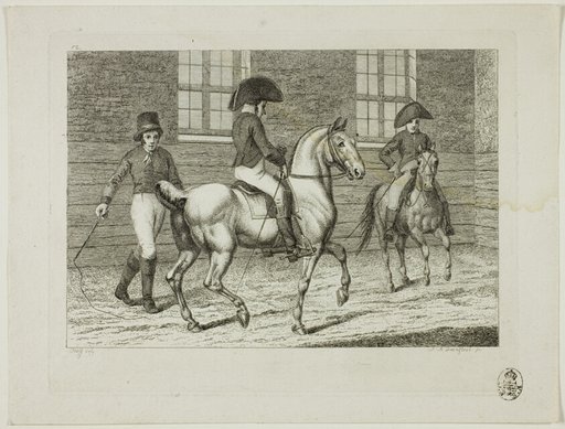 Riding School and Horses