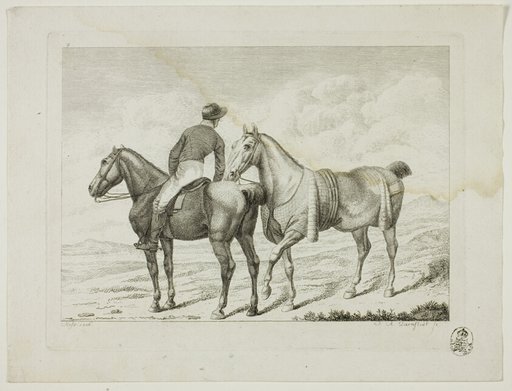 Riding School and Horses