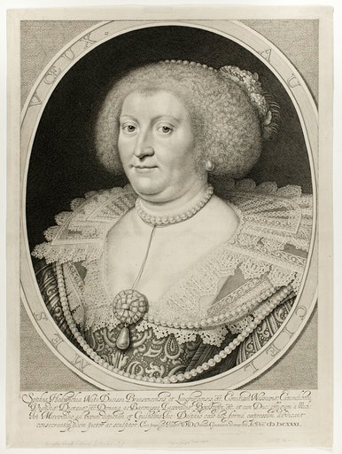 Sophia Hedwichia, Countess of Nassau-Dietz