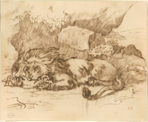 Lion Devouring a Rabbit