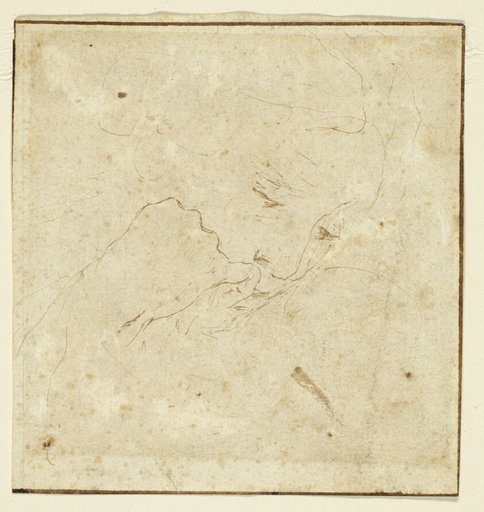 Woman's Head