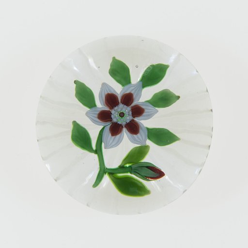 Paperweight