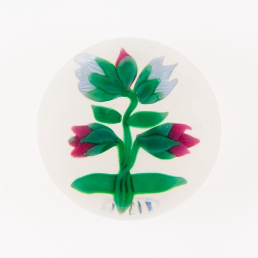 Paperweight