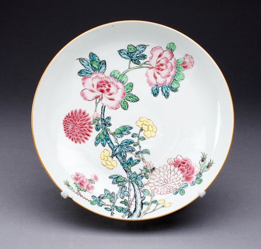 Dish