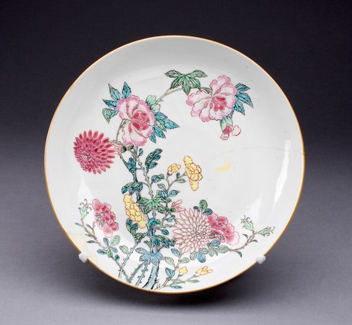 Dish