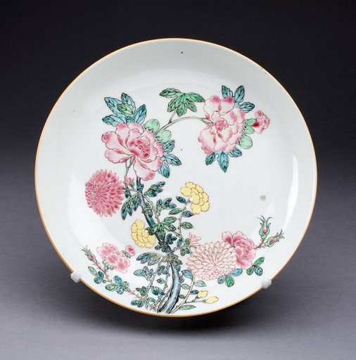 Dish