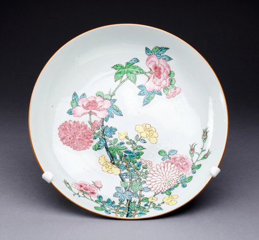Dish