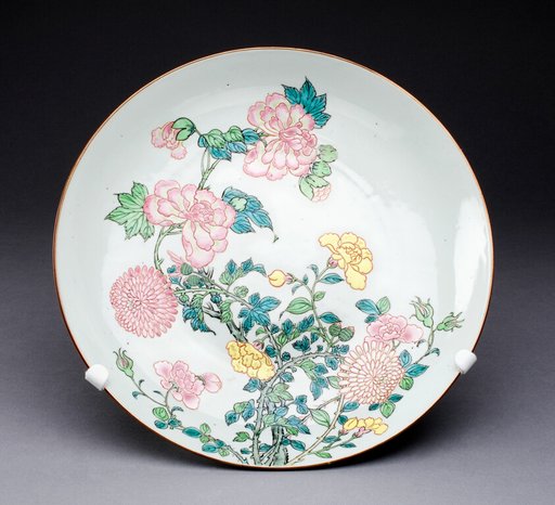 Dish
