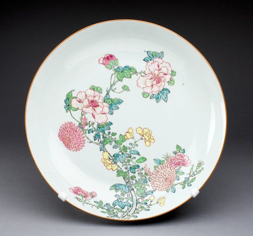 Dish