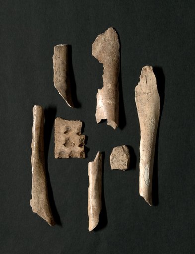 Oracle Bones (76 total)