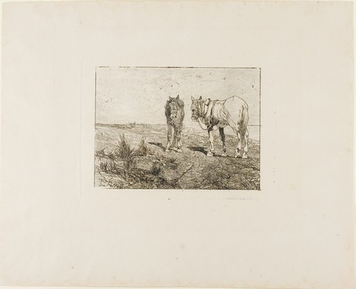 Horses' Rest