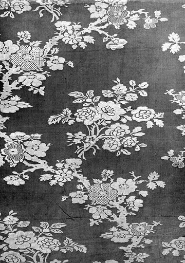 Panel