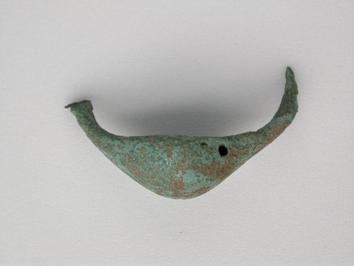 Fibula (leech type)