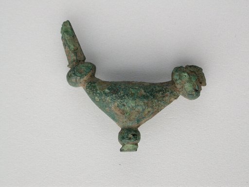 Fibula (leech type)