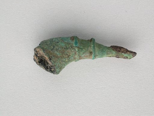 Fibula Fragment