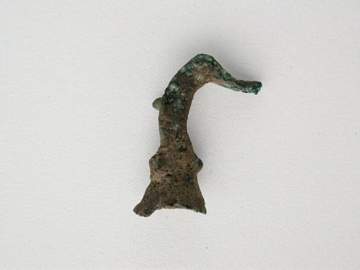 Bird Head Fragment