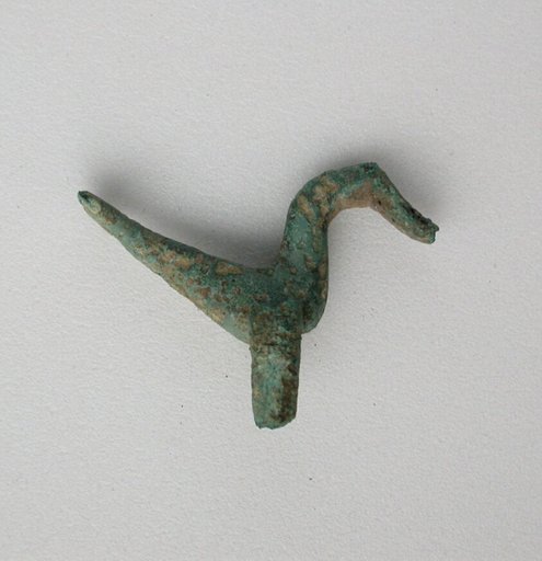 Bird with Flat Tail
