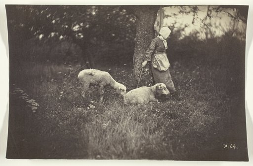 Shepherdess Leaning Against a Tree, with Two Sheep