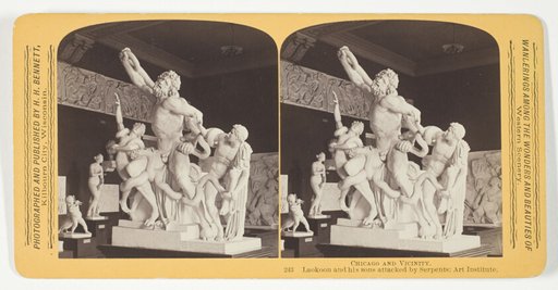 Laokoon and his sons attacked by Serpents; Art Institute, from the series "Chicago and Vicinity"