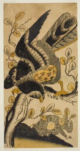 Eagle and Monkey