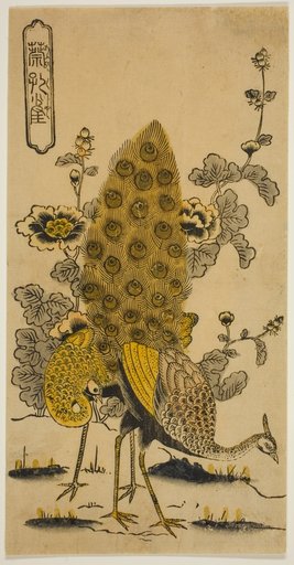 Hollyhocks and Peacocks (Aoi ni kujaku)