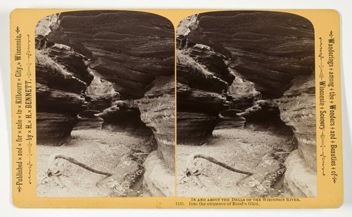 Into the entrance of Rood's Glen, No. 1135 from the series "In and About the Dells of the Wisconsin River"