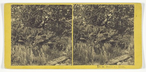 Beside the River, No. 24 from the series "Stereoscopic Views of American and Foreign Scenery"