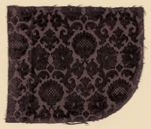 Fragment