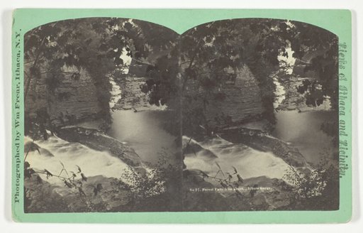 Forest Falls from above, Ithaca Gorge, No. 27 from the series "Views of Ithaca and Vicinity"