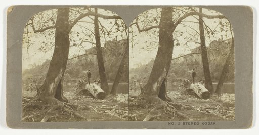 Stereo Kodak