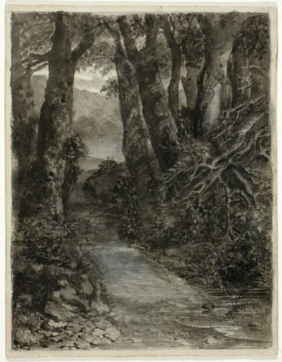A Woodland Study