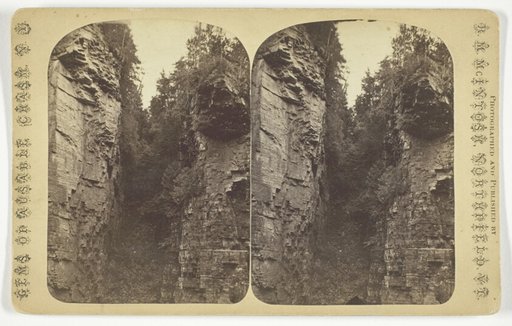 Shady Gorge, No. 1071 from the series "Gems of Ausable Chasm, N. Y."