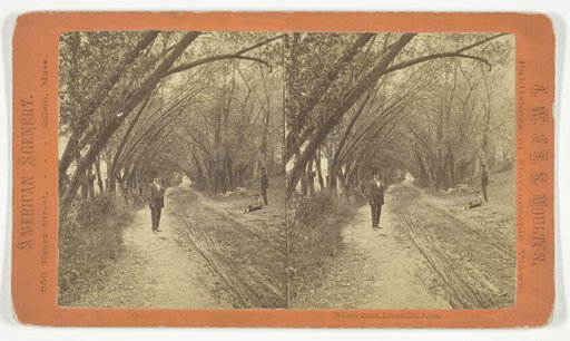 Willow Road, Lanesville, Mass.