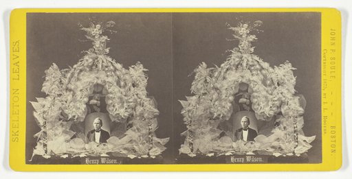 Henry Wilson, from the series "Skeleton Leaves"