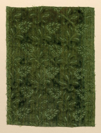 Fragment
