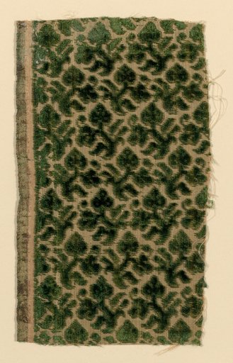 Fragment