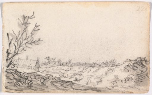 A Dune Landscape