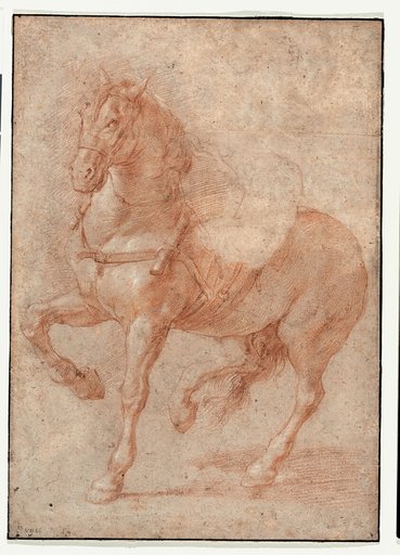Study of Bucephalus for the Relief "Alexander and Diogenes"