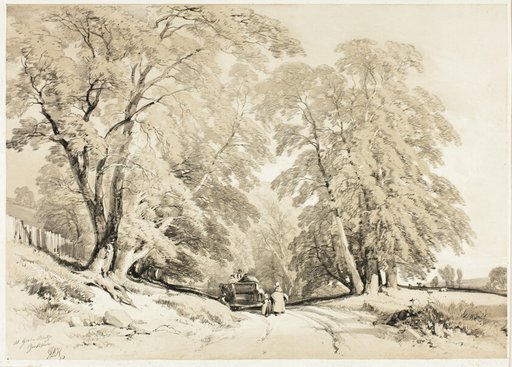 Ash, from The Park and the Forest