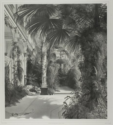 View of the Palm House on the Peacock-Island