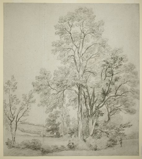 A Stand of Elm Trees (recto); A Study of East Bergholt with the Church (verso)