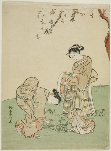 Gathering Spring Flowers